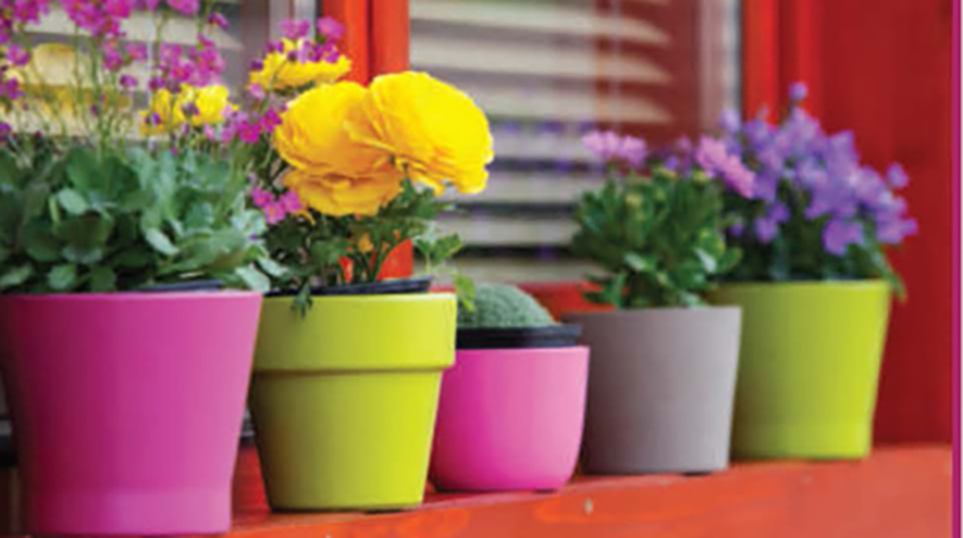 Flowerpots on a windowsill.