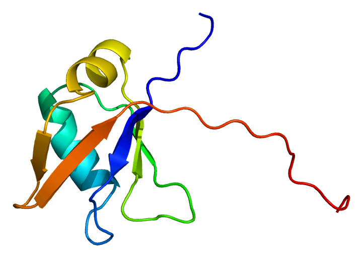 Structure of the TARDBP protein