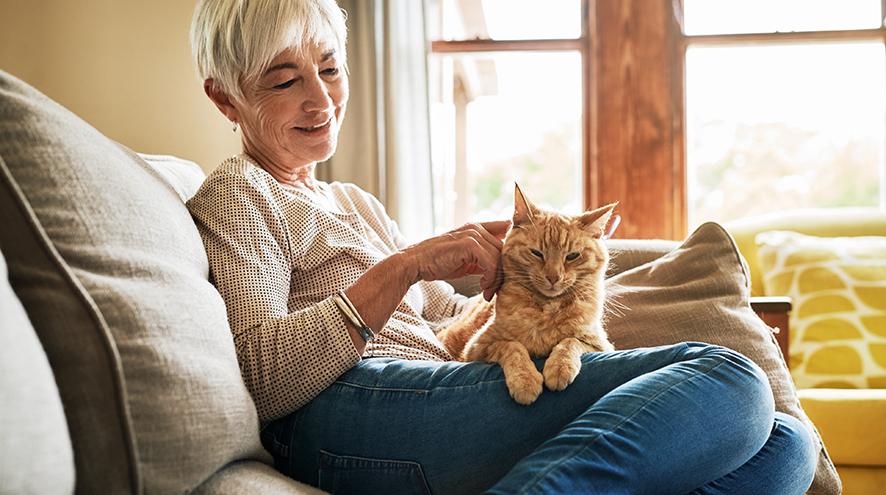 Senior woman petting her cat.